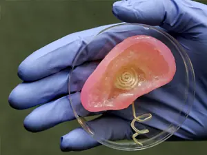 La primera oreja que se imprime y escucha