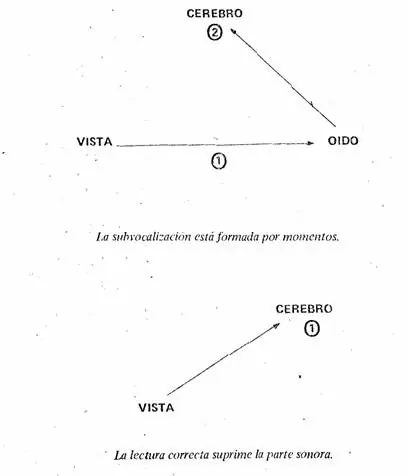 ortografia