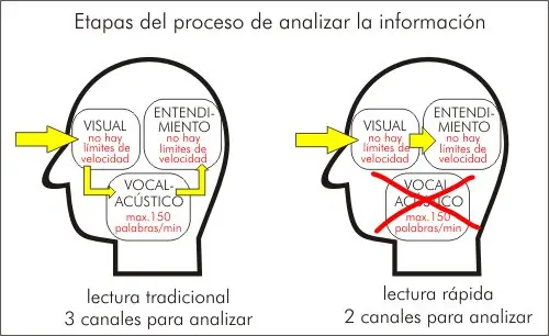 subvocalizas