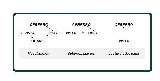 ortografia
