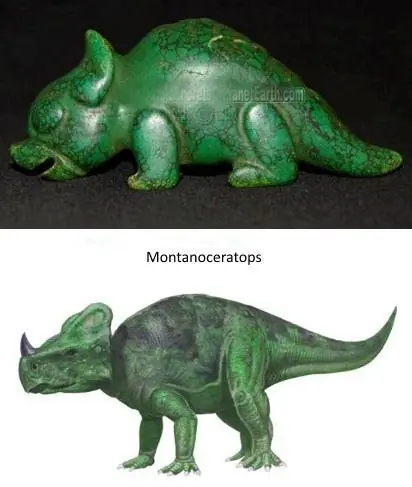 Retos Para Los Evolucionistas