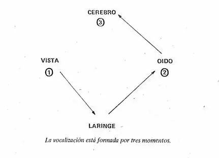 Leer