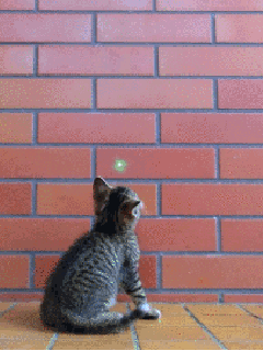 Gifs