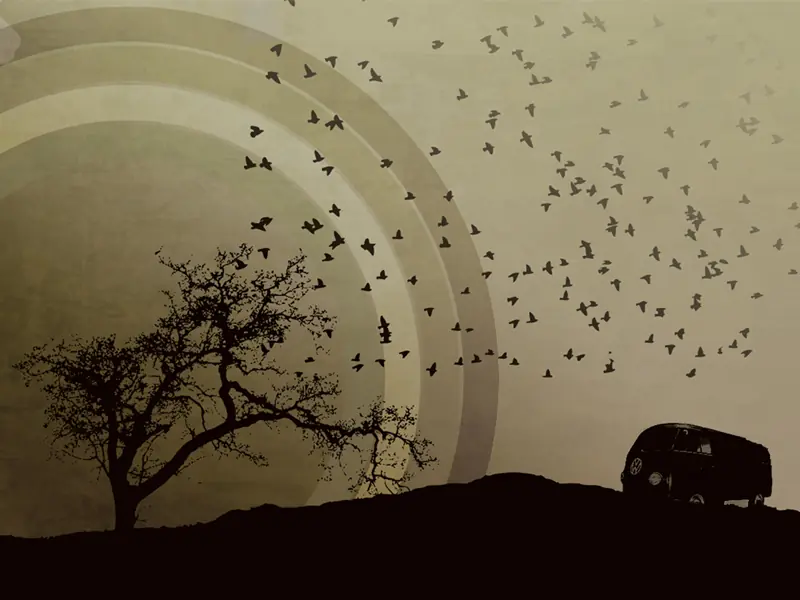 VW