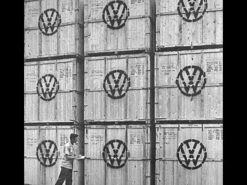 beetle