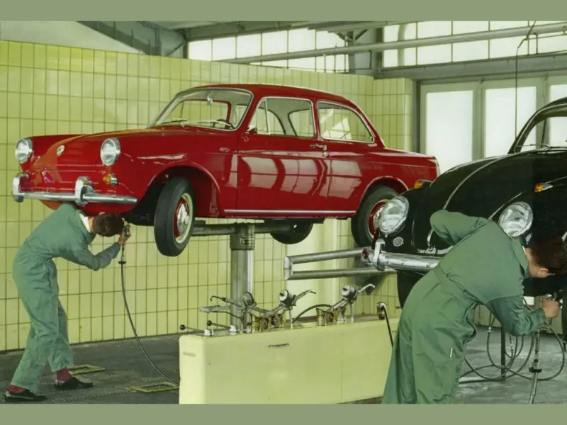 beetle