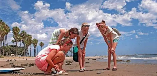 Lo que ha estado apareciendo en estas playas es aterrador