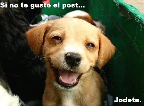 imagenes