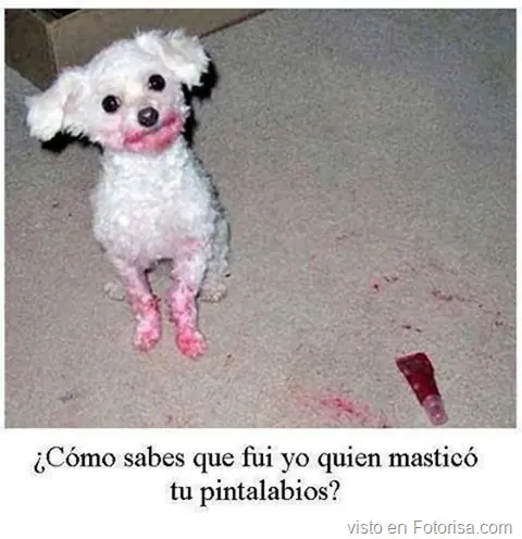 imagenes