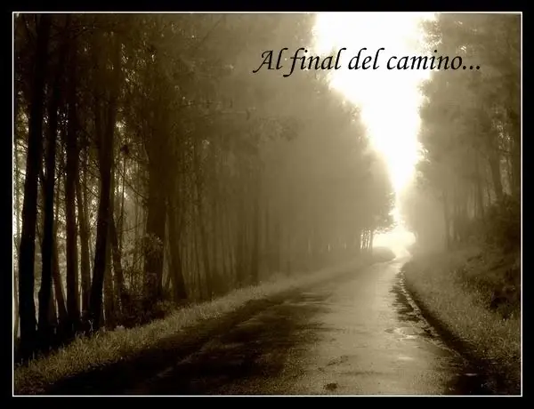 sentimientos