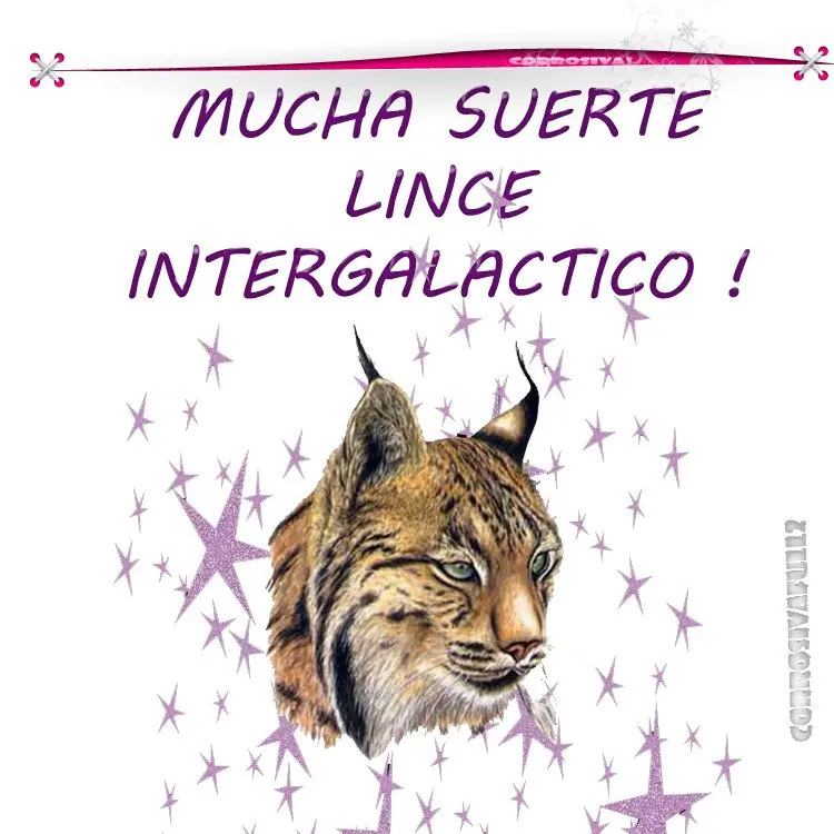 Conquistar a una mujer mayor !