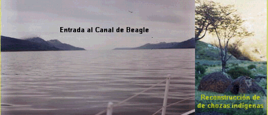 Evolución humana: De África al Beagle.
