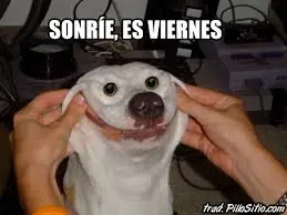Gifs e Imagines solo por que hoy es Viernes