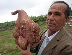 Mejor papa de la historia