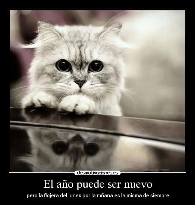 2.parte