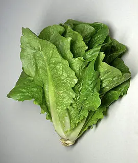 Calorías Según el Alimento