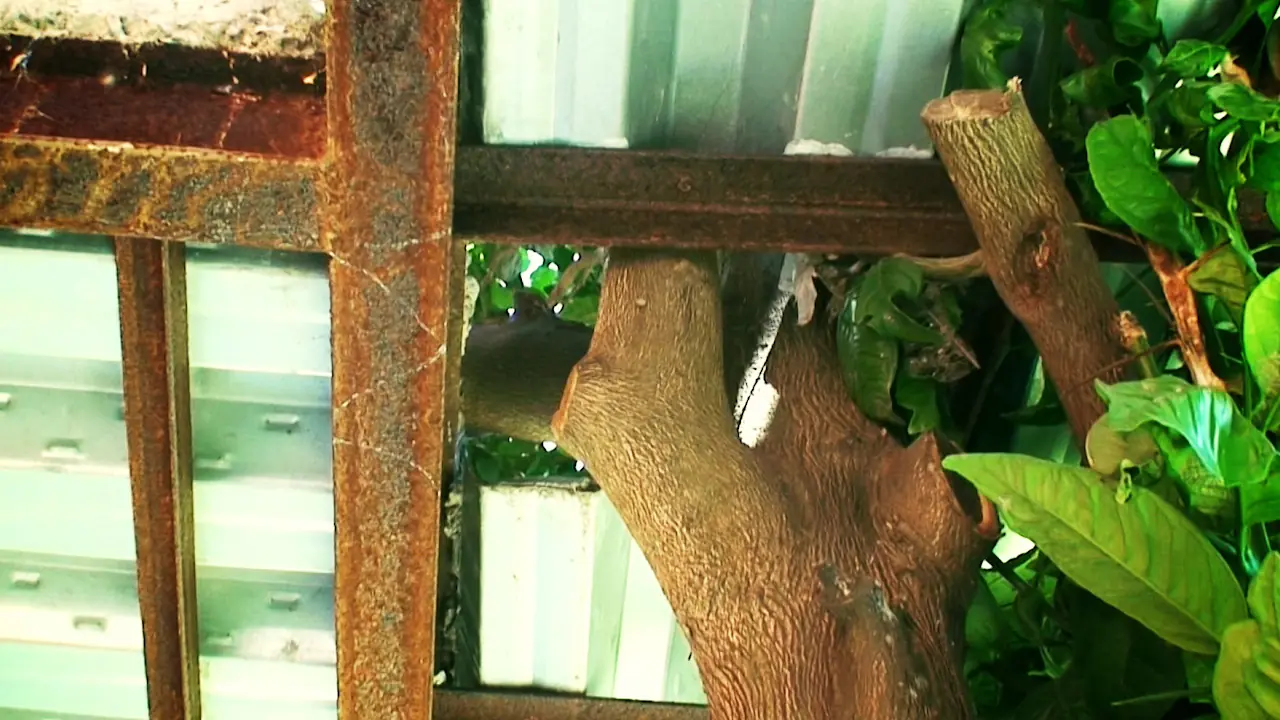 arquitectura ecologica