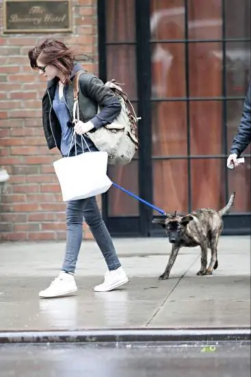 Kristen Stewart y Robert Pattinson enfrentados por su perro