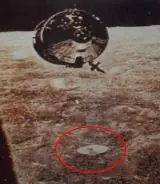 MJ