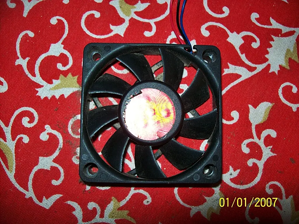 fotos
