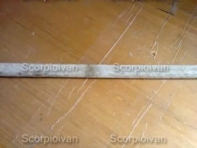 scorpioivan