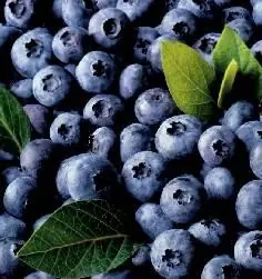 Calorías Según el Alimento