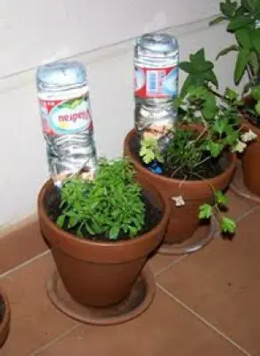 botella
