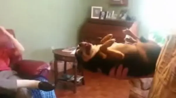 Se hace el muerto cuando alguien no le cae bien.