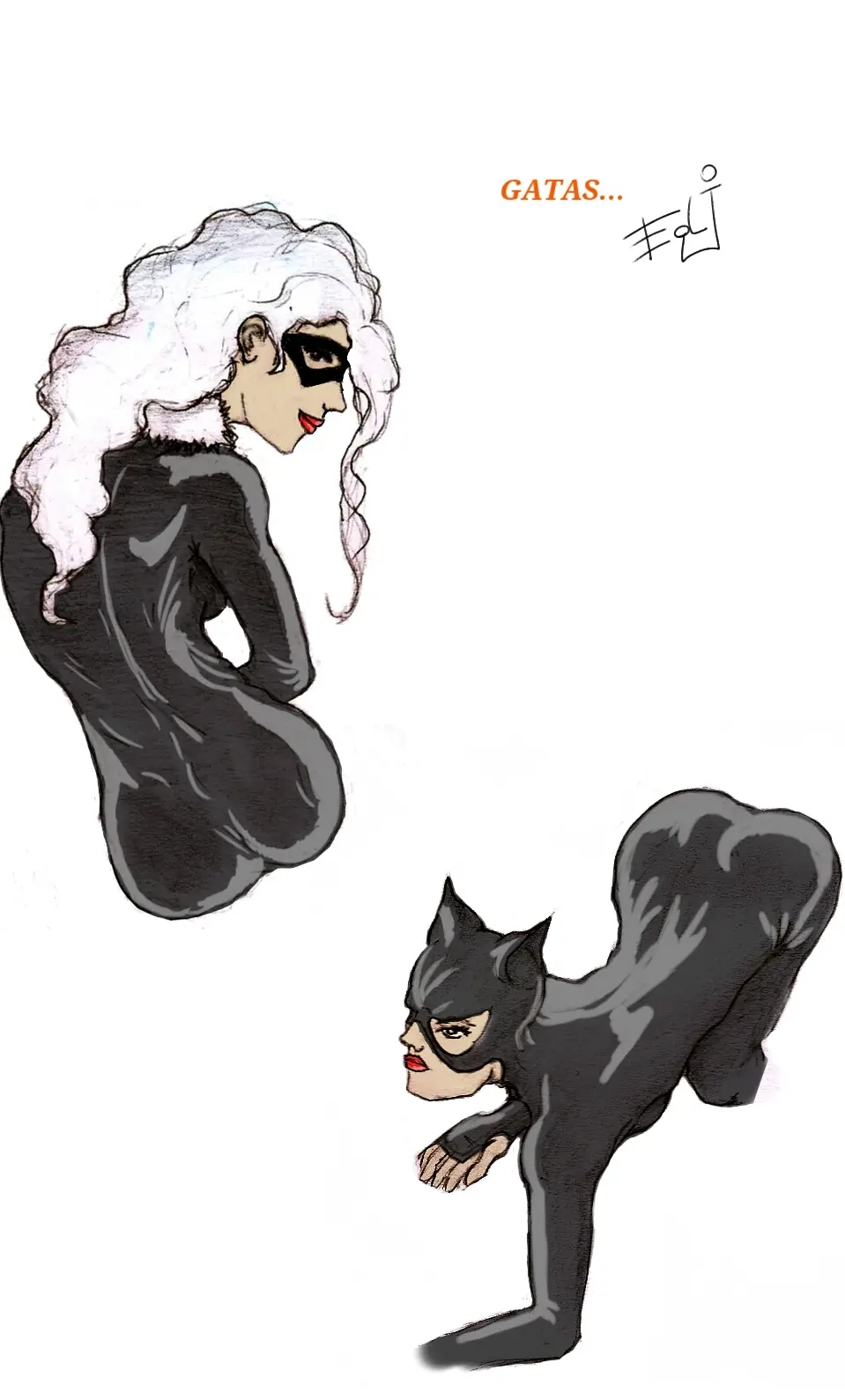 black cat