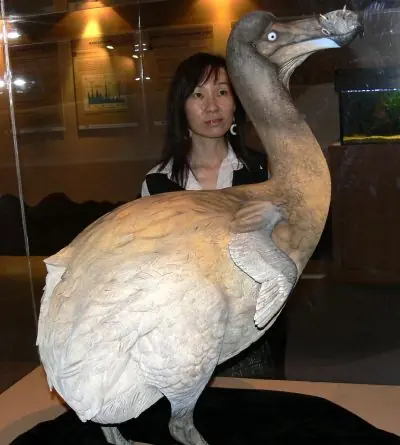 miren estos animales extintos que pueden volver