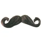 Los Bigotes y un poco de historia