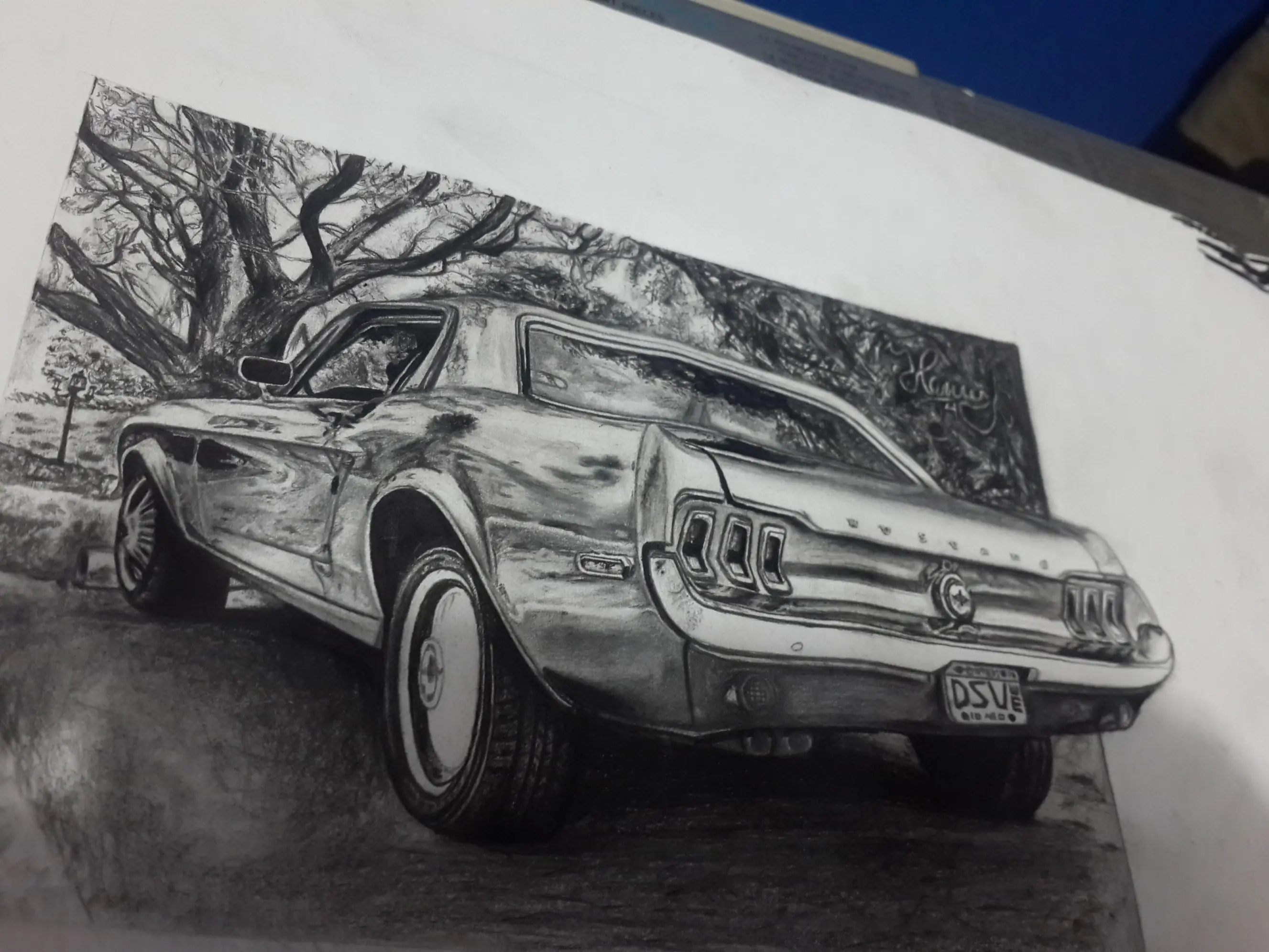 mustang drawing