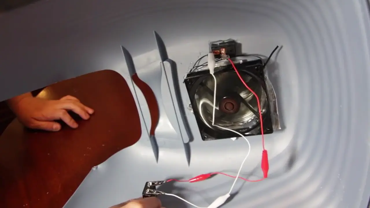 Tienes gato?Elimina el olor de la caja de arena para siempre