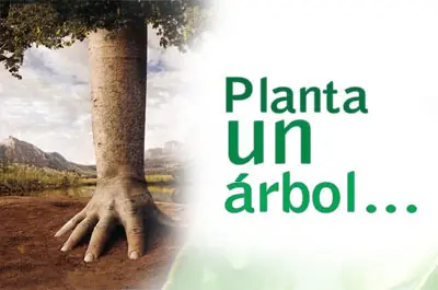 plastico