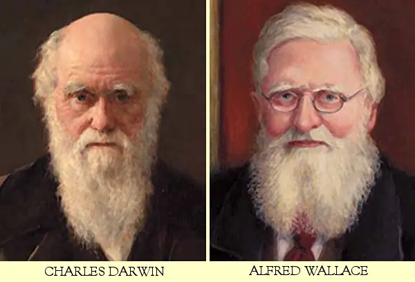 Evolucion, el neodarwinismo