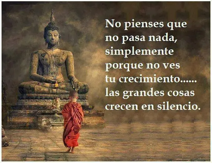 Despido