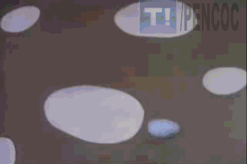 Nueva especie: El primer humano