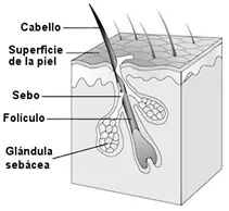 interesantes