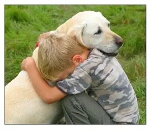 amor