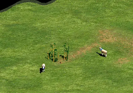 rangos
