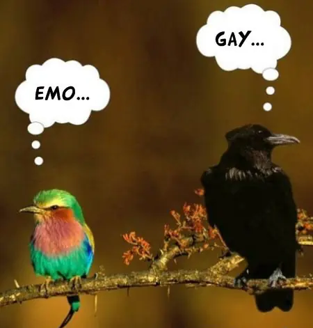 imagenes para reirse