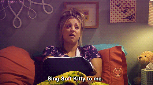 the big bang theory