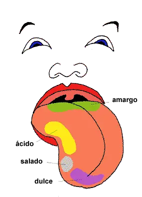 ciencia