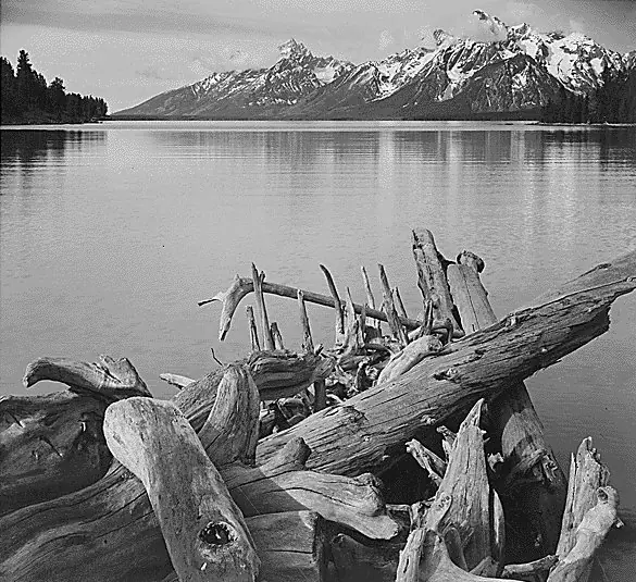 ansel adams