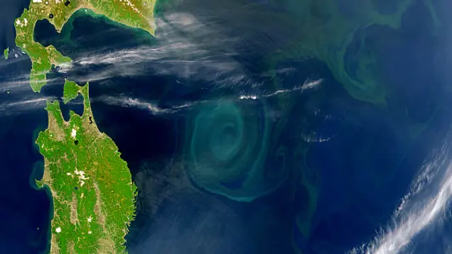 ciencia