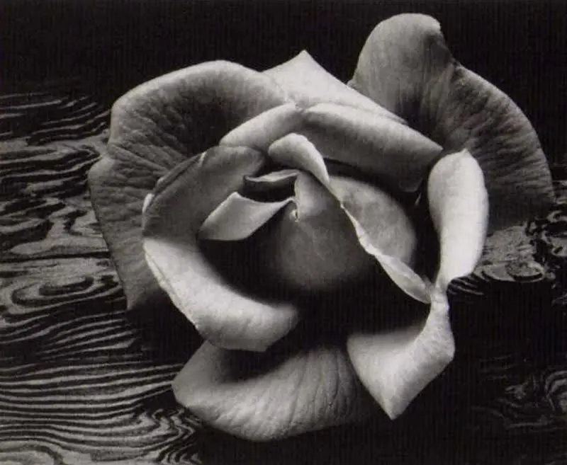 ansel adams