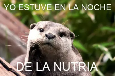 taringa