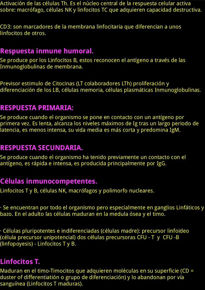 sistema nervioso