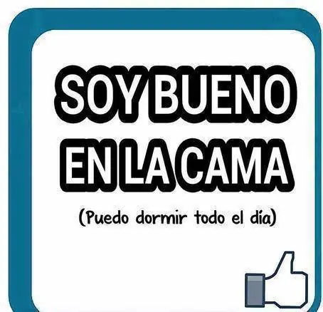 reite