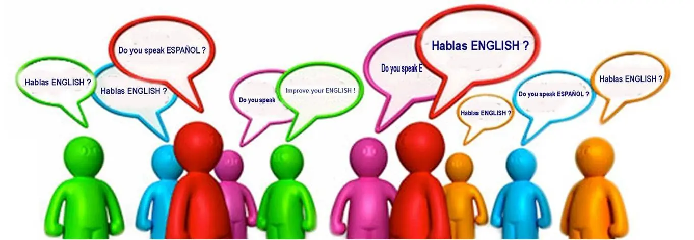 materias escolares